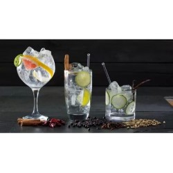 Gin Aconcagua Verde De Lima Y Lemon Grass 750